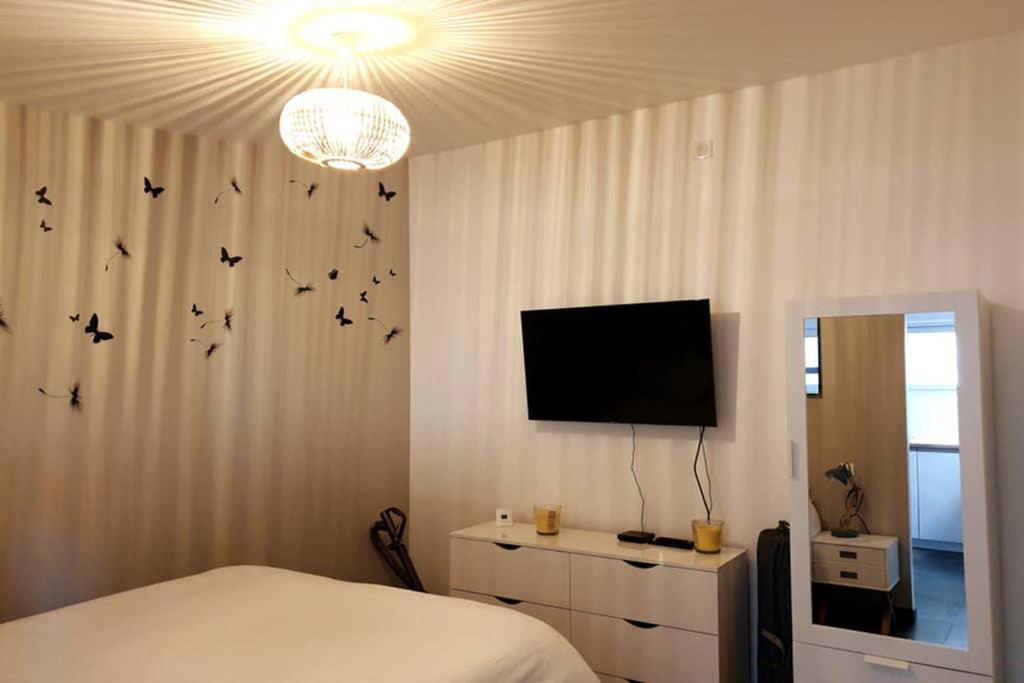 Appartamento Le Saint Symphorien, Parking Gratuit Privee Vannes Esterno foto